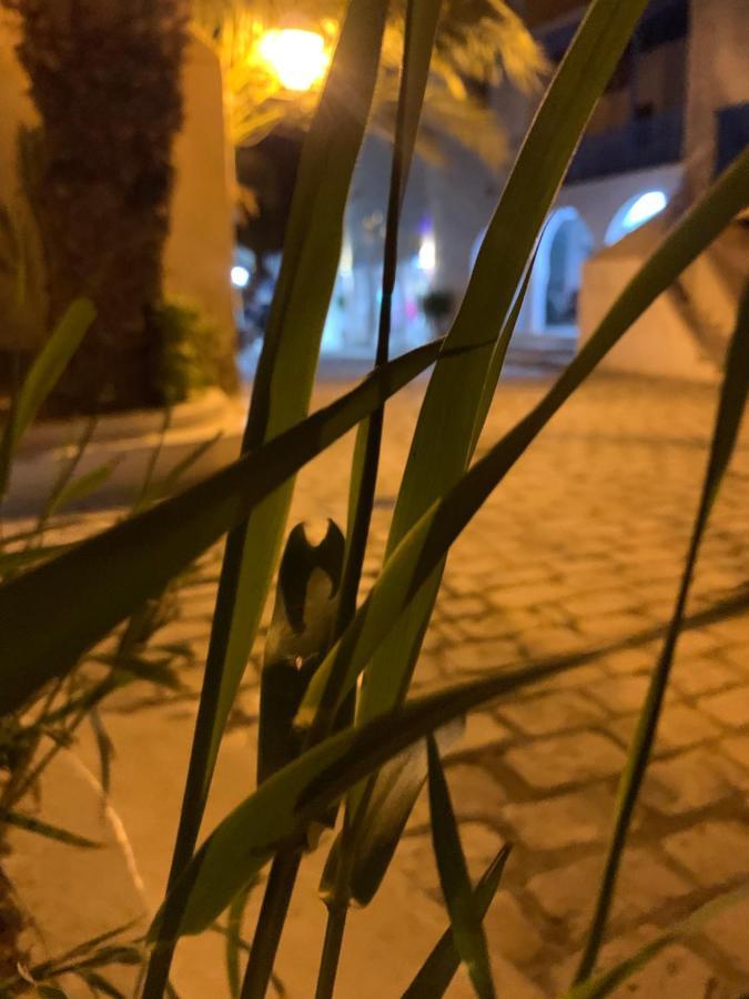 Dar Lola Djerba Houmt Souk (Djerba) Exterior foto